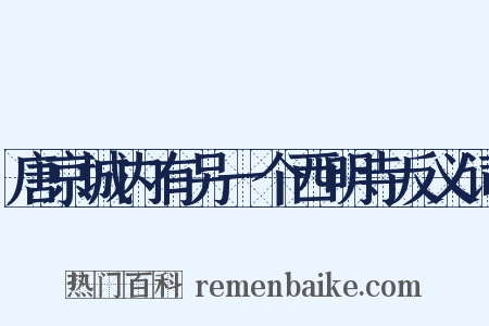 唐京城内有另一个西明寺反义词是什么意思的图片